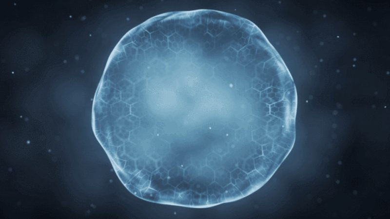 生物医药细胞治疗产品申报指南最新版解读**