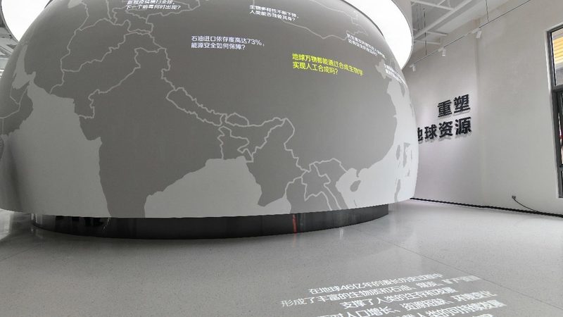 CDMO龙头企业：揭秘其优势与挑战