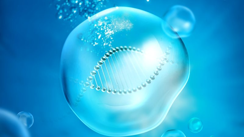 生物科技实验室装修：如何选择合适的上海公司**