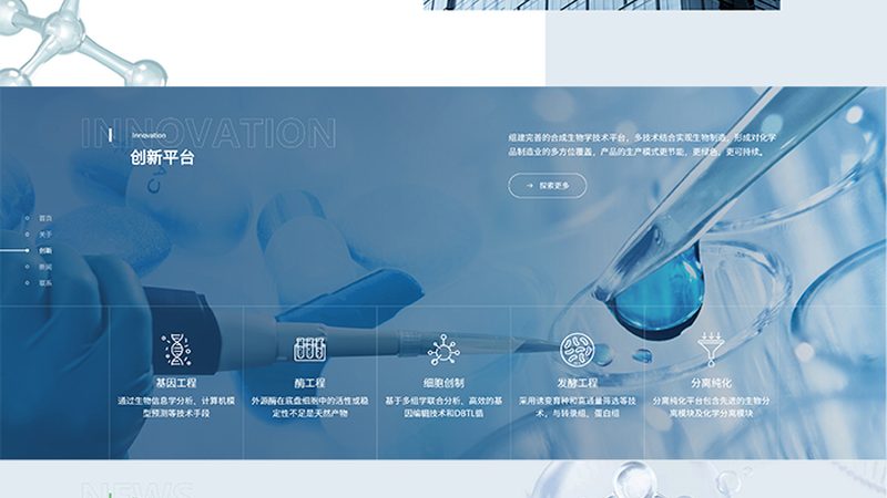 CDMO工艺流程分类解析：揭秘生物医药生产的秘密武器