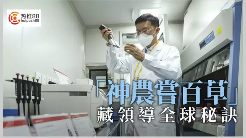 食品级发酵罐：揭秘其背后的技术与选择要点**