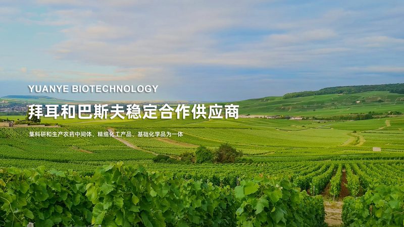 北京抗体定制重组表达：揭秘生物制药领域的“精准定制”技术**