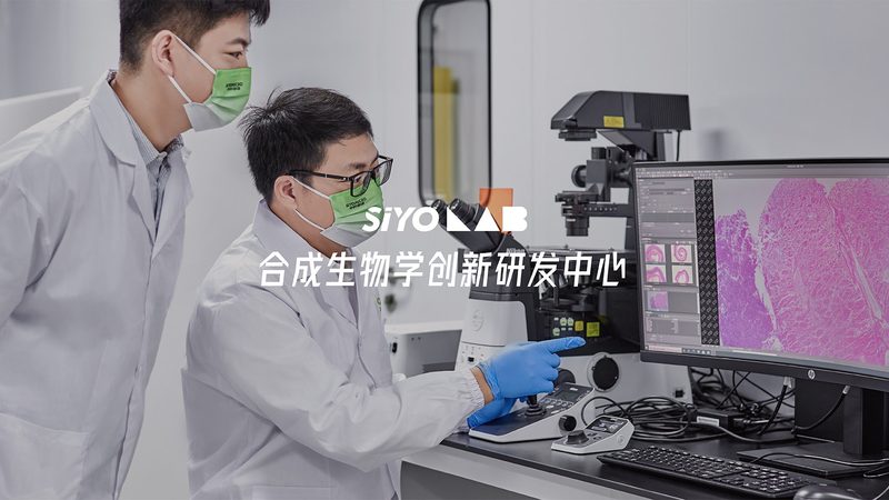 基因检测报告怎么看数值