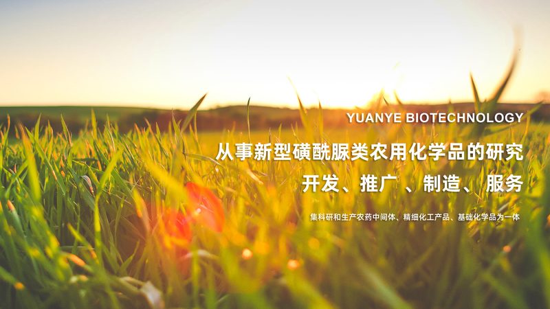 实验室离心机报价背后的技术分层与选型逻辑