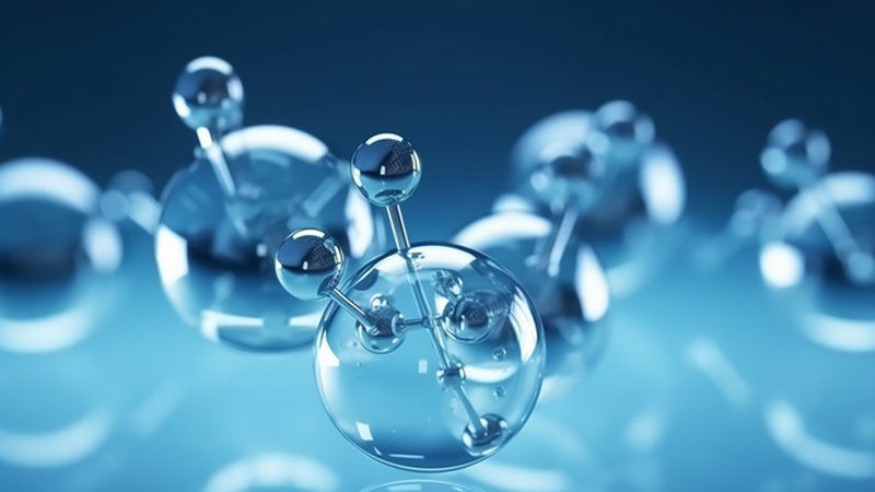 上海生物科技公司：探析其发展优势与挑战