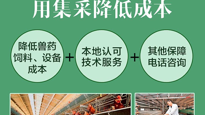 上海生物医药研发公司合作流程：关键步骤与注意事项**