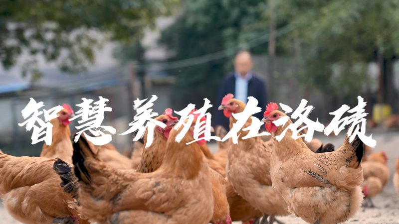 新冠病毒PCR检测：报告时间揭秘与影响因素